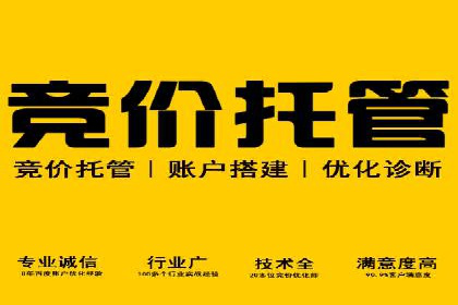 探索sem代运营机构的成功之路：以实际案例为鉴